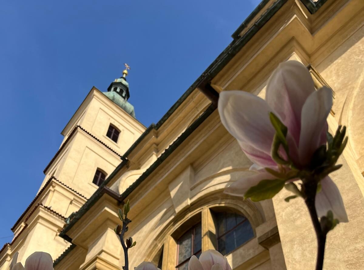 Sobotní meditace